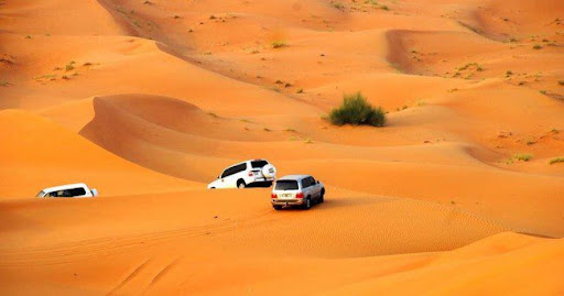 QATAR: DOHA – BANANA ISLAND — ảnh 4