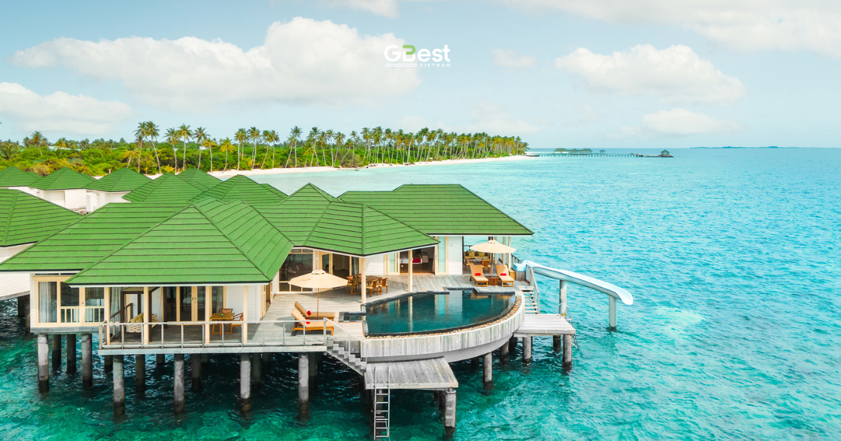 SIYAM WORLD MALDIVES - RESORT 5 SAO CÓ GÌ?